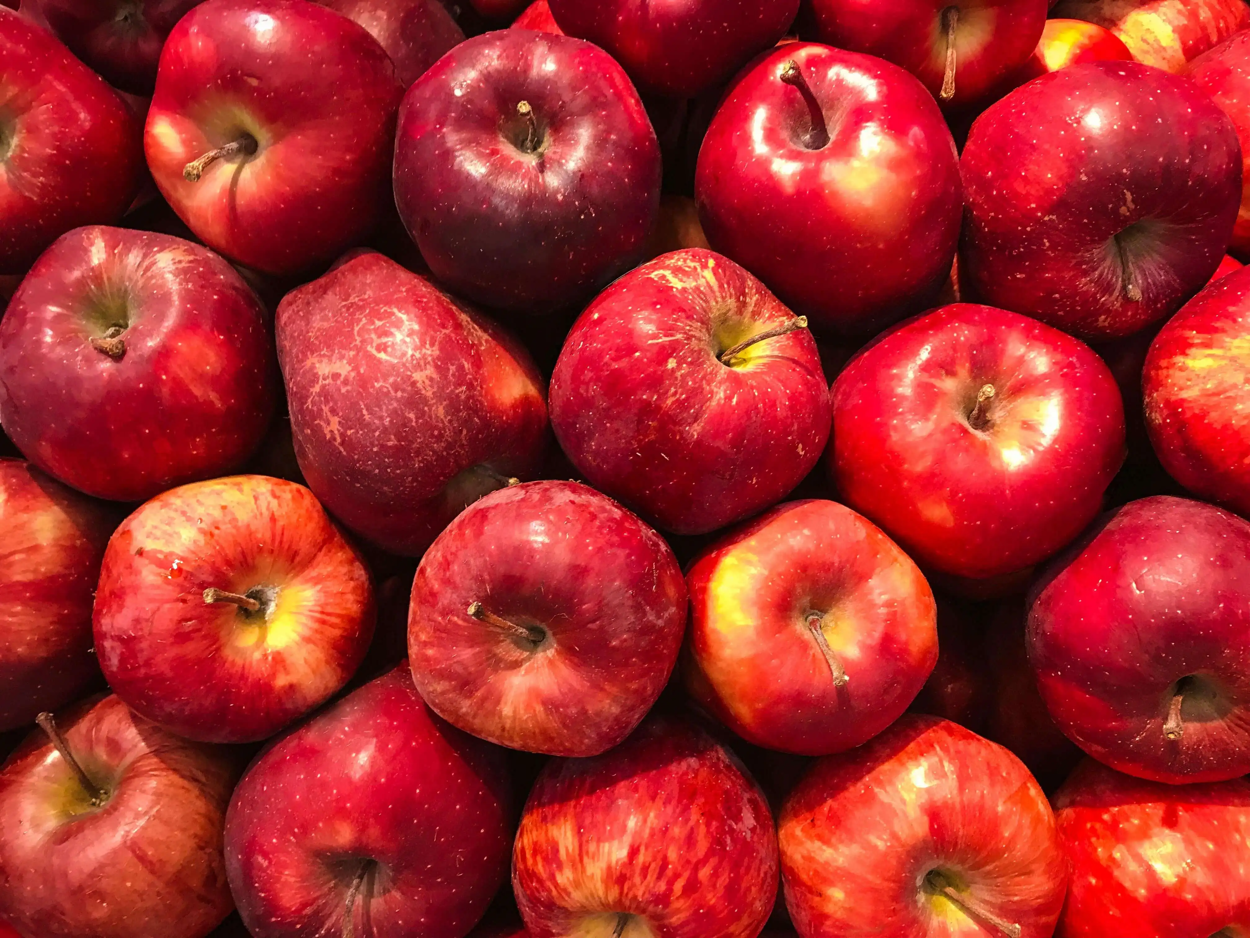Pommes bio